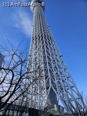 [P49] Skytree » foto by DOINITA
 - 
<span class="allrVoted glyphicon glyphicon-heart hidden" id="av1476061"></span>
<a class="m-l-10 hidden" id="sv1476061" onclick="voting_Foto_DelVot(,1476061,7999)" role="button">șterge vot <span class="glyphicon glyphicon-remove"></span></a>
<a id="v91476061" class=" c-red"  onclick="voting_Foto_SetVot(1476061)" role="button"><span class="glyphicon glyphicon-heart-empty"></span> <b>LIKE</b> = Votează poza</a> <img class="hidden"  id="f1476061W9" src="/imagini/loader.gif" border="0" /><span class="AjErrMes hidden" id="e1476061ErM"></span>