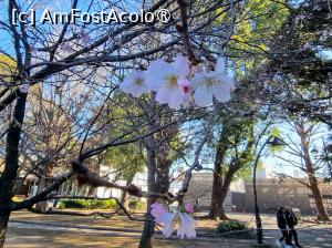[P01] Parcul Ueno » foto by DOINITA
 - 
<span class="allrVoted glyphicon glyphicon-heart hidden" id="av1476641"></span>
<a class="m-l-10 hidden" id="sv1476641" onclick="voting_Foto_DelVot(,1476641,7999)" role="button">șterge vot <span class="glyphicon glyphicon-remove"></span></a>
<a id="v91476641" class=" c-red"  onclick="voting_Foto_SetVot(1476641)" role="button"><span class="glyphicon glyphicon-heart-empty"></span> <b>LIKE</b> = Votează poza</a> <img class="hidden"  id="f1476641W9" src="/imagini/loader.gif" border="0" /><span class="AjErrMes hidden" id="e1476641ErM"></span>