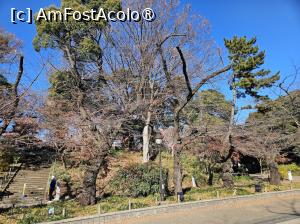 [P06] La pas prin parcul Ueno » foto by DOINITA
 - 
<span class="allrVoted glyphicon glyphicon-heart hidden" id="av1476646"></span>
<a class="m-l-10 hidden" id="sv1476646" onclick="voting_Foto_DelVot(,1476646,7999)" role="button">șterge vot <span class="glyphicon glyphicon-remove"></span></a>
<a id="v91476646" class=" c-red"  onclick="voting_Foto_SetVot(1476646)" role="button"><span class="glyphicon glyphicon-heart-empty"></span> <b>LIKE</b> = Votează poza</a> <img class="hidden"  id="f1476646W9" src="/imagini/loader.gif" border="0" /><span class="AjErrMes hidden" id="e1476646ErM"></span>