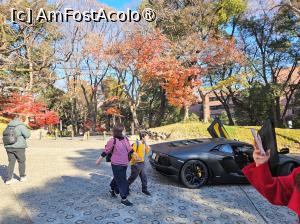 [P26] La pas prin Tokyo » foto by DOINITA
 - 
<span class="allrVoted glyphicon glyphicon-heart hidden" id="av1478894"></span>
<a class="m-l-10 hidden" id="sv1478894" onclick="voting_Foto_DelVot(,1478894,7999)" role="button">șterge vot <span class="glyphicon glyphicon-remove"></span></a>
<a id="v91478894" class=" c-red"  onclick="voting_Foto_SetVot(1478894)" role="button"><span class="glyphicon glyphicon-heart-empty"></span> <b>LIKE</b> = Votează poza</a> <img class="hidden"  id="f1478894W9" src="/imagini/loader.gif" border="0" /><span class="AjErrMes hidden" id="e1478894ErM"></span>