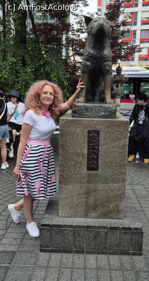 [P04] Statuia de bronz a cainelui Hachiko, din rasa japoneza Akita, devenit legenda in Japonia si subiectul filmului in care rolul principal l-a interpretat Richard Gere. » foto by geani anto
 - 
<span class="allrVoted glyphicon glyphicon-heart hidden" id="av1437830"></span>
<a class="m-l-10 hidden" id="sv1437830" onclick="voting_Foto_DelVot(,1437830,7999)" role="button">șterge vot <span class="glyphicon glyphicon-remove"></span></a>
<a id="v91437830" class=" c-red"  onclick="voting_Foto_SetVot(1437830)" role="button"><span class="glyphicon glyphicon-heart-empty"></span> <b>LIKE</b> = Votează poza</a> <img class="hidden"  id="f1437830W9" src="/imagini/loader.gif" border="0" /><span class="AjErrMes hidden" id="e1437830ErM"></span>