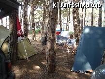 [P22] Campingul din Durres » foto by similia
 - 
<span class="allrVoted glyphicon glyphicon-heart hidden" id="av194106"></span>
<a class="m-l-10 hidden" id="sv194106" onclick="voting_Foto_DelVot(,194106,8016)" role="button">șterge vot <span class="glyphicon glyphicon-remove"></span></a>
<a id="v9194106" class=" c-red"  onclick="voting_Foto_SetVot(194106)" role="button"><span class="glyphicon glyphicon-heart-empty"></span> <b>LIKE</b> = Votează poza</a> <img class="hidden"  id="f194106W9" src="/imagini/loader.gif" border="0" /><span class="AjErrMes hidden" id="e194106ErM"></span>