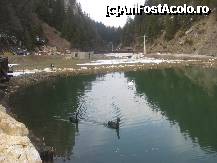 [P15] In complex gasiti si un lac cu lebede negre caci cele albe au emigrat la Viena » foto by dorgo
 - 
<span class="allrVoted glyphicon glyphicon-heart hidden" id="av172731"></span>
<a class="m-l-10 hidden" id="sv172731" onclick="voting_Foto_DelVot(,172731,8046)" role="button">șterge vot <span class="glyphicon glyphicon-remove"></span></a>
<a id="v9172731" class=" c-red"  onclick="voting_Foto_SetVot(172731)" role="button"><span class="glyphicon glyphicon-heart-empty"></span> <b>LIKE</b> = Votează poza</a> <img class="hidden"  id="f172731W9" src="/imagini/loader.gif" border="0" /><span class="AjErrMes hidden" id="e172731ErM"></span>