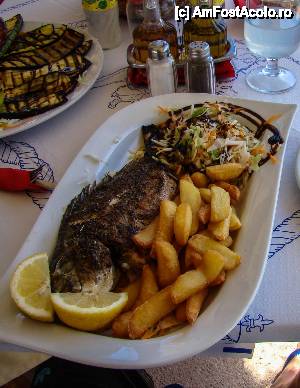 [P04] Peste proaspat la gratar, taverna Miramare Vasiliki » foto by Muffin2009*
 - 
<span class="allrVoted glyphicon glyphicon-heart hidden" id="av441216"></span>
<a class="m-l-10 hidden" id="sv441216" onclick="voting_Foto_DelVot(,441216,8082)" role="button">șterge vot <span class="glyphicon glyphicon-remove"></span></a>
<a id="v9441216" class=" c-red"  onclick="voting_Foto_SetVot(441216)" role="button"><span class="glyphicon glyphicon-heart-empty"></span> <b>LIKE</b> = Votează poza</a> <img class="hidden"  id="f441216W9" src="/imagini/loader.gif" border="0" /><span class="AjErrMes hidden" id="e441216ErM"></span>