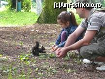 [P11] o relatie de o secunda... » foto by CO.COS1410
 - 
<span class="allrVoted glyphicon glyphicon-heart hidden" id="av316500"></span>
<a class="m-l-10 hidden" id="sv316500" onclick="voting_Foto_DelVot(,316500,8128)" role="button">șterge vot <span class="glyphicon glyphicon-remove"></span></a>
<a id="v9316500" class=" c-red"  onclick="voting_Foto_SetVot(316500)" role="button"><span class="glyphicon glyphicon-heart-empty"></span> <b>LIKE</b> = Votează poza</a> <img class="hidden"  id="f316500W9" src="/imagini/loader.gif" border="0" /><span class="AjErrMes hidden" id="e316500ErM"></span>