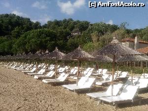 [P07] Plaja din Skiathos, dimineata devreme » foto by dorgo
 - 
<span class="allrVoted glyphicon glyphicon-heart hidden" id="av657487"></span>
<a class="m-l-10 hidden" id="sv657487" onclick="voting_Foto_DelVot(,657487,8128)" role="button">șterge vot <span class="glyphicon glyphicon-remove"></span></a>
<a id="v9657487" class=" c-red"  onclick="voting_Foto_SetVot(657487)" role="button"><span class="glyphicon glyphicon-heart-empty"></span> <b>LIKE</b> = Votează poza</a> <img class="hidden"  id="f657487W9" src="/imagini/loader.gif" border="0" /><span class="AjErrMes hidden" id="e657487ErM"></span>