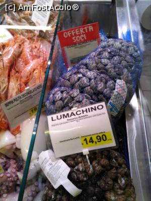 [P30] Pescăria din supermarketul COOP.  » foto by Carmen Ion
 - 
<span class="allrVoted glyphicon glyphicon-heart hidden" id="av984475"></span>
<a class="m-l-10 hidden" id="sv984475" onclick="voting_Foto_DelVot(,984475,8154)" role="button">șterge vot <span class="glyphicon glyphicon-remove"></span></a>
<a id="v9984475" class=" c-red"  onclick="voting_Foto_SetVot(984475)" role="button"><span class="glyphicon glyphicon-heart-empty"></span> <b>LIKE</b> = Votează poza</a> <img class="hidden"  id="f984475W9" src="/imagini/loader.gif" border="0" /><span class="AjErrMes hidden" id="e984475ErM"></span>