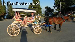 [P08] Plimbarea cu trasura » foto by ireedeejay
 - 
<span class="allrVoted glyphicon glyphicon-heart hidden" id="av1053827"></span>
<a class="m-l-10 hidden" id="sv1053827" onclick="voting_Foto_DelVot(,1053827,8221)" role="button">șterge vot <span class="glyphicon glyphicon-remove"></span></a>
<a id="v91053827" class=" c-red"  onclick="voting_Foto_SetVot(1053827)" role="button"><span class="glyphicon glyphicon-heart-empty"></span> <b>LIKE</b> = Votează poza</a> <img class="hidden"  id="f1053827W9" src="/imagini/loader.gif" border="0" /><span class="AjErrMes hidden" id="e1053827ErM"></span>