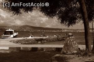 [P07] Departe de ochii turistilor, in partea aproape nefrecventata de acestia, sub in maslin se pregatea de rugaciune... » foto by crysttine
 - 
<span class="allrVoted glyphicon glyphicon-heart hidden" id="av857684"></span>
<a class="m-l-10 hidden" id="sv857684" onclick="voting_Foto_DelVot(,857684,8221)" role="button">șterge vot <span class="glyphicon glyphicon-remove"></span></a>
<a id="v9857684" class=" c-red"  onclick="voting_Foto_SetVot(857684)" role="button"><span class="glyphicon glyphicon-heart-empty"></span> <b>LIKE</b> = Votează poza</a> <img class="hidden"  id="f857684W9" src="/imagini/loader.gif" border="0" /><span class="AjErrMes hidden" id="e857684ErM"></span>