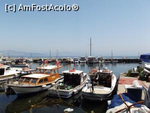 [P28] Bărci în portul din Heybeliada » foto by irinad
 - 
<span class="allrVoted glyphicon glyphicon-heart hidden" id="av966544"></span>
<a class="m-l-10 hidden" id="sv966544" onclick="voting_Foto_DelVot(,966544,8221)" role="button">șterge vot <span class="glyphicon glyphicon-remove"></span></a>
<a id="v9966544" class=" c-red"  onclick="voting_Foto_SetVot(966544)" role="button"><span class="glyphicon glyphicon-heart-empty"></span> <b>LIKE</b> = Votează poza</a> <img class="hidden"  id="f966544W9" src="/imagini/loader.gif" border="0" /><span class="AjErrMes hidden" id="e966544ErM"></span>