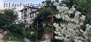 [P02] Hotel Insula - vedere de la intrarea dinspre parcare » foto by Rofri
 - 
<span class="allrVoted glyphicon glyphicon-heart hidden" id="av1535733"></span>
<a class="m-l-10 hidden" id="sv1535733" onclick="voting_Foto_DelVot(,1535733,8276)" role="button">șterge vot <span class="glyphicon glyphicon-remove"></span></a>
<a id="v91535733" class=" c-red"  onclick="voting_Foto_SetVot(1535733)" role="button"><span class="glyphicon glyphicon-heart-empty"></span> <b>LIKE</b> = Votează poza</a> <img class="hidden"  id="f1535733W9" src="/imagini/loader.gif" border="0" /><span class="AjErrMes hidden" id="e1535733ErM"></span>