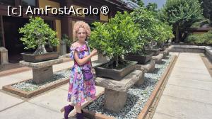 [P17]  -- <small>// FĂRĂ DESCRIERE</small> » foto by geani anto
 - 
<span class="allrVoted glyphicon glyphicon-heart hidden" id="av1521193"></span>
<a class="m-l-10 hidden" id="sv1521193" onclick="voting_Foto_DelVot(,1521193,8285)" role="button">șterge vot <span class="glyphicon glyphicon-remove"></span></a>
<a id="v91521193" class=" c-red"  onclick="voting_Foto_SetVot(1521193)" role="button"><span class="glyphicon glyphicon-heart-empty"></span> <b>LIKE</b> = Votează poza</a> <img class="hidden"  id="f1521193W9" src="/imagini/loader.gif" border="0" /><span class="AjErrMes hidden" id="e1521193ErM"></span>