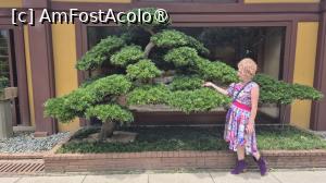 [P19]  -- <small>// FĂRĂ DESCRIERE</small> » foto by geani anto
 - 
<span class="allrVoted glyphicon glyphicon-heart hidden" id="av1521195"></span>
<a class="m-l-10 hidden" id="sv1521195" onclick="voting_Foto_DelVot(,1521195,8285)" role="button">șterge vot <span class="glyphicon glyphicon-remove"></span></a>
<a id="v91521195" class=" c-red"  onclick="voting_Foto_SetVot(1521195)" role="button"><span class="glyphicon glyphicon-heart-empty"></span> <b>LIKE</b> = Votează poza</a> <img class="hidden"  id="f1521195W9" src="/imagini/loader.gif" border="0" /><span class="AjErrMes hidden" id="e1521195ErM"></span>