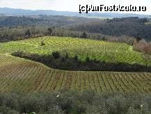 [P35] Clasic peisaj din Toscana » foto by BOGDAN DSN
 - 
<span class="allrVoted glyphicon glyphicon-heart hidden" id="av423254"></span>
<a class="m-l-10 hidden" id="sv423254" onclick="voting_Foto_DelVot(,423254,8341)" role="button">șterge vot <span class="glyphicon glyphicon-remove"></span></a>
<a id="v9423254" class=" c-red"  onclick="voting_Foto_SetVot(423254)" role="button"><span class="glyphicon glyphicon-heart-empty"></span> <b>LIKE</b> = Votează poza</a> <img class="hidden"  id="f423254W9" src="/imagini/loader.gif" border="0" /><span class="AjErrMes hidden" id="e423254ErM"></span>