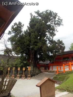 [P13] Nara, Altarul Kasuga Taisha, Curtea interioară a Altarului Principal, în plan îndepărtat Cedrul cel Bătrân » foto by mprofeanu
 - 
<span class="allrVoted glyphicon glyphicon-heart hidden" id="av716708"></span>
<a class="m-l-10 hidden" id="sv716708" onclick="voting_Foto_DelVot(,716708,8565)" role="button">șterge vot <span class="glyphicon glyphicon-remove"></span></a>
<a id="v9716708" class=" c-red"  onclick="voting_Foto_SetVot(716708)" role="button"><span class="glyphicon glyphicon-heart-empty"></span> <b>LIKE</b> = Votează poza</a> <img class="hidden"  id="f716708W9" src="/imagini/loader.gif" border="0" /><span class="AjErrMes hidden" id="e716708ErM"></span>