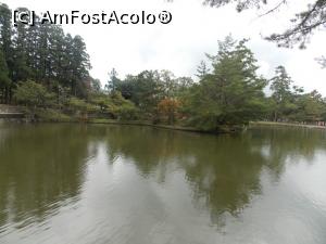 [P40] Nara, Templul Todaiji, Kagami-ike, lacul liniștit din parc, de lîngă Daibutsuden » foto by mprofeanu
 - 
<span class="allrVoted glyphicon glyphicon-heart hidden" id="av716743"></span>
<a class="m-l-10 hidden" id="sv716743" onclick="voting_Foto_DelVot(,716743,8565)" role="button">șterge vot <span class="glyphicon glyphicon-remove"></span></a>
<a id="v9716743" class=" c-red"  onclick="voting_Foto_SetVot(716743)" role="button"><span class="glyphicon glyphicon-heart-empty"></span> <b>LIKE</b> = Votează poza</a> <img class="hidden"  id="f716743W9" src="/imagini/loader.gif" border="0" /><span class="AjErrMes hidden" id="e716743ErM"></span>