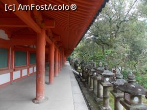 [P06] Nara, Altarul Kasuga Taisha, Coridorul de Sud lângă Altarul Principal » foto by mprofeanu
 - 
<span class="allrVoted glyphicon glyphicon-heart hidden" id="av716692"></span>
<a class="m-l-10 hidden" id="sv716692" onclick="voting_Foto_DelVot(,716692,8565)" role="button">șterge vot <span class="glyphicon glyphicon-remove"></span></a>
<a id="v9716692" class=" c-red"  onclick="voting_Foto_SetVot(716692)" role="button"><span class="glyphicon glyphicon-heart-empty"></span> <b>LIKE</b> = Votează poza</a> <img class="hidden"  id="f716692W9" src="/imagini/loader.gif" border="0" /><span class="AjErrMes hidden" id="e716692ErM"></span>