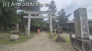 [P12] Tamukeyama Hachiman-gu este un altar secundar, atasat unui alt altar sinto important din Japonia si se inchina Zeitei razboiului Kami Hachiman, care protejeaza poporul japonez. 
Legenda spune că zeii altarului Usa Hachiman-gu au venit la Nara pentru a sprijini si proteja constructia templului Todai-ji si a lui Daibutsu-den. Tamukeyama Hachiman-gu a fost construit in 749 pentru a multumi acestor zei, iar zeitatile se spune ca se intorc de atunci intr-un pelerinaj anual. » foto by geani anto
 - 
<span class="allrVoted glyphicon glyphicon-heart hidden" id="av1459206"></span>
<a class="m-l-10 hidden" id="sv1459206" onclick="voting_Foto_DelVot(,1459206,8565)" role="button">șterge vot <span class="glyphicon glyphicon-remove"></span></a>
<a id="v91459206" class=" c-red"  onclick="voting_Foto_SetVot(1459206)" role="button"><span class="glyphicon glyphicon-heart-empty"></span> <b>LIKE</b> = Votează poza</a> <img class="hidden"  id="f1459206W9" src="/imagini/loader.gif" border="0" /><span class="AjErrMes hidden" id="e1459206ErM"></span>