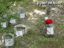 P28 [JUN-2010] Un mic cimitir ....