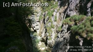 [P55] Pătrundem în KaiserKlamm - cheile împăratului Franz Joseph I.  » foto by Aurici
 - 
<span class="allrVoted glyphicon glyphicon-heart hidden" id="av1039937"></span>
<a class="m-l-10 hidden" id="sv1039937" onclick="voting_Foto_DelVot(,1039937,8584)" role="button">șterge vot <span class="glyphicon glyphicon-remove"></span></a>
<a id="v91039937" class=" c-red"  onclick="voting_Foto_SetVot(1039937)" role="button"><span class="glyphicon glyphicon-heart-empty"></span> <b>LIKE</b> = Votează poza</a> <img class="hidden"  id="f1039937W9" src="/imagini/loader.gif" border="0" /><span class="AjErrMes hidden" id="e1039937ErM"></span>