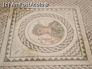 [P11] Cel mai frumos mozaic din Cipru, descoperit la situl antic Kourion şi redat pe coperta ghidului meu » foto by irinad
 - 
<span class="allrVoted glyphicon glyphicon-heart hidden" id="av749849"></span>
<a class="m-l-10 hidden" id="sv749849" onclick="voting_Foto_DelVot(,749849,8732)" role="button">șterge vot <span class="glyphicon glyphicon-remove"></span></a>
<a id="v9749849" class=" c-red"  onclick="voting_Foto_SetVot(749849)" role="button"><span class="glyphicon glyphicon-heart-empty"></span> <b>LIKE</b> = Votează poza</a> <img class="hidden"  id="f749849W9" src="/imagini/loader.gif" border="0" /><span class="AjErrMes hidden" id="e749849ErM"></span>