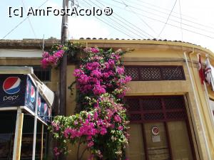 [P65] O altă bougainvillea din Nicosia turcă » foto by irinad
 - 
<span class="allrVoted glyphicon glyphicon-heart hidden" id="av749915"></span>
<a class="m-l-10 hidden" id="sv749915" onclick="voting_Foto_DelVot(,749915,8732)" role="button">șterge vot <span class="glyphicon glyphicon-remove"></span></a>
<a id="v9749915" class=" c-red"  onclick="voting_Foto_SetVot(749915)" role="button"><span class="glyphicon glyphicon-heart-empty"></span> <b>LIKE</b> = Votează poza</a> <img class="hidden"  id="f749915W9" src="/imagini/loader.gif" border="0" /><span class="AjErrMes hidden" id="e749915ErM"></span>