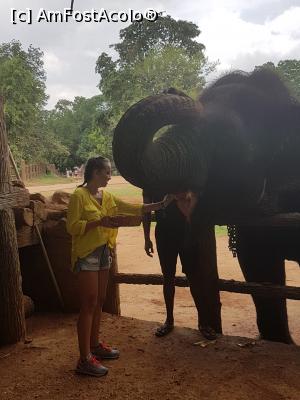 [P18] Pinnawala Elephant Orphanage » foto by robert
 - 
<span class="allrVoted glyphicon glyphicon-heart hidden" id="av901632"></span>
<a class="m-l-10 hidden" id="sv901632" onclick="voting_Foto_DelVot(,901632,8783)" role="button">șterge vot <span class="glyphicon glyphicon-remove"></span></a>
<a id="v9901632" class=" c-red"  onclick="voting_Foto_SetVot(901632)" role="button"><span class="glyphicon glyphicon-heart-empty"></span> <b>LIKE</b> = Votează poza</a> <img class="hidden"  id="f901632W9" src="/imagini/loader.gif" border="0" /><span class="AjErrMes hidden" id="e901632ErM"></span>