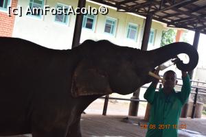 [P20] Pinnawala Elephant Orphanage » foto by robert
 - 
<span class="allrVoted glyphicon glyphicon-heart hidden" id="av901634"></span>
<a class="m-l-10 hidden" id="sv901634" onclick="voting_Foto_DelVot(,901634,8783)" role="button">șterge vot <span class="glyphicon glyphicon-remove"></span></a>
<a id="v9901634" class=" c-red"  onclick="voting_Foto_SetVot(901634)" role="button"><span class="glyphicon glyphicon-heart-empty"></span> <b>LIKE</b> = Votează poza</a> <img class="hidden"  id="f901634W9" src="/imagini/loader.gif" border="0" /><span class="AjErrMes hidden" id="e901634ErM"></span>