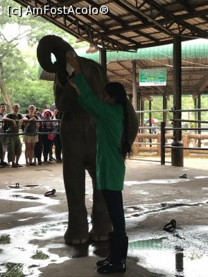 [P22] Pinnawala Elephant Orphanage » foto by robert
 - 
<span class="allrVoted glyphicon glyphicon-heart hidden" id="av901636"></span>
<a class="m-l-10 hidden" id="sv901636" onclick="voting_Foto_DelVot(,901636,8783)" role="button">șterge vot <span class="glyphicon glyphicon-remove"></span></a>
<a id="v9901636" class=" c-red"  onclick="voting_Foto_SetVot(901636)" role="button"><span class="glyphicon glyphicon-heart-empty"></span> <b>LIKE</b> = Votează poza</a> <img class="hidden"  id="f901636W9" src="/imagini/loader.gif" border="0" /><span class="AjErrMes hidden" id="e901636ErM"></span>