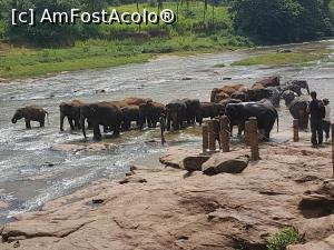 [P25] Pinnawala Elephant Orphanage » foto by robert
 - 
<span class="allrVoted glyphicon glyphicon-heart hidden" id="av901639"></span>
<a class="m-l-10 hidden" id="sv901639" onclick="voting_Foto_DelVot(,901639,8783)" role="button">șterge vot <span class="glyphicon glyphicon-remove"></span></a>
<a id="v9901639" class=" c-red"  onclick="voting_Foto_SetVot(901639)" role="button"><span class="glyphicon glyphicon-heart-empty"></span> <b>LIKE</b> = Votează poza</a> <img class="hidden"  id="f901639W9" src="/imagini/loader.gif" border="0" /><span class="AjErrMes hidden" id="e901639ErM"></span>