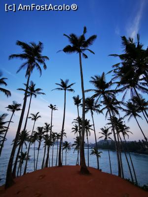[P01] Coconut Tree Hill » foto by cata2106
 - 
<span class="allrVoted glyphicon glyphicon-heart hidden" id="av1286521"></span>
<a class="m-l-10 hidden" id="sv1286521" onclick="voting_Foto_DelVot(,1286521,8783)" role="button">șterge vot <span class="glyphicon glyphicon-remove"></span></a>
<a id="v91286521" class=" c-red"  onclick="voting_Foto_SetVot(1286521)" role="button"><span class="glyphicon glyphicon-heart-empty"></span> <b>LIKE</b> = Votează poza</a> <img class="hidden"  id="f1286521W9" src="/imagini/loader.gif" border="0" /><span class="AjErrMes hidden" id="e1286521ErM"></span>
