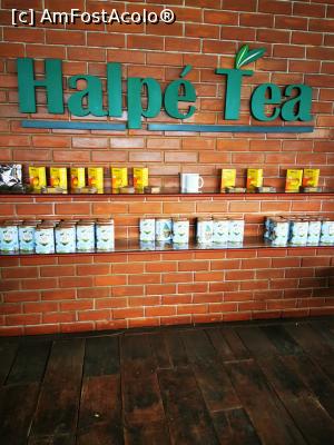 [P64] Halpe Tea - raiul ceaiurilo » foto by cata2106
 - 
<span class="allrVoted glyphicon glyphicon-heart hidden" id="av1294048"></span>
<a class="m-l-10 hidden" id="sv1294048" onclick="voting_Foto_DelVot(,1294048,8783)" role="button">șterge vot <span class="glyphicon glyphicon-remove"></span></a>
<a id="v91294048" class=" c-red"  onclick="voting_Foto_SetVot(1294048)" role="button"><span class="glyphicon glyphicon-heart-empty"></span> <b>LIKE</b> = Votează poza</a> <img class="hidden"  id="f1294048W9" src="/imagini/loader.gif" border="0" /><span class="AjErrMes hidden" id="e1294048ErM"></span>