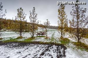 [P32] alaturi de Geysir (foto Adrian Visoreanu)  » foto by buterfly*
 - 
<span class="allrVoted glyphicon glyphicon-heart hidden" id="av576618"></span>
<a class="m-l-10 hidden" id="sv576618" onclick="voting_Foto_DelVot(,576618,8786)" role="button">șterge vot <span class="glyphicon glyphicon-remove"></span></a>
<a id="v9576618" class=" c-red"  onclick="voting_Foto_SetVot(576618)" role="button"><span class="glyphicon glyphicon-heart-empty"></span> <b>LIKE</b> = Votează poza</a> <img class="hidden"  id="f576618W9" src="/imagini/loader.gif" border="0" /><span class="AjErrMes hidden" id="e576618ErM"></span>