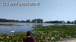 [P03]  -- <small>// FĂRĂ DESCRIERE</small> » foto by Alina Acajou
 - 
<span class="allrVoted glyphicon glyphicon-heart hidden" id="av1488614"></span>
<a class="m-l-10 hidden" id="sv1488614" onclick="voting_Foto_DelVot(,1488614,8789)" role="button">șterge vot <span class="glyphicon glyphicon-remove"></span></a>
<a id="v91488614" class=" c-red"  onclick="voting_Foto_SetVot(1488614)" role="button"><span class="glyphicon glyphicon-heart-empty"></span> <b>LIKE</b> = Votează poza</a> <img class="hidden"  id="f1488614W9" src="/imagini/loader.gif" border="0" /><span class="AjErrMes hidden" id="e1488614ErM"></span>