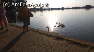 [P05]  -- <small>// FĂRĂ DESCRIERE</small> » foto by Alina Acajou
 - 
<span class="allrVoted glyphicon glyphicon-heart hidden" id="av1488616"></span>
<a class="m-l-10 hidden" id="sv1488616" onclick="voting_Foto_DelVot(,1488616,8789)" role="button">șterge vot <span class="glyphicon glyphicon-remove"></span></a>
<a id="v91488616" class=" c-red"  onclick="voting_Foto_SetVot(1488616)" role="button"><span class="glyphicon glyphicon-heart-empty"></span> <b>LIKE</b> = Votează poza</a> <img class="hidden"  id="f1488616W9" src="/imagini/loader.gif" border="0" /><span class="AjErrMes hidden" id="e1488616ErM"></span>