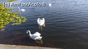 [P08]  -- <small>// FĂRĂ DESCRIERE</small> » foto by Alina Acajou
 - 
<span class="allrVoted glyphicon glyphicon-heart hidden" id="av1488619"></span>
<a class="m-l-10 hidden" id="sv1488619" onclick="voting_Foto_DelVot(,1488619,8789)" role="button">șterge vot <span class="glyphicon glyphicon-remove"></span></a>
<a id="v91488619" class=" c-red"  onclick="voting_Foto_SetVot(1488619)" role="button"><span class="glyphicon glyphicon-heart-empty"></span> <b>LIKE</b> = Votează poza</a> <img class="hidden"  id="f1488619W9" src="/imagini/loader.gif" border="0" /><span class="AjErrMes hidden" id="e1488619ErM"></span>