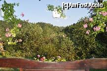 [P01] Priveliste terasa pensiunii » foto by Valerius
 - 
<span class="allrVoted glyphicon glyphicon-heart hidden" id="av257627"></span>
<a class="m-l-10 hidden" id="sv257627" onclick="voting_Foto_DelVot(,257627,8820)" role="button">șterge vot <span class="glyphicon glyphicon-remove"></span></a>
<a id="v9257627" class=" c-red"  onclick="voting_Foto_SetVot(257627)" role="button"><span class="glyphicon glyphicon-heart-empty"></span> <b>LIKE</b> = Votează poza</a> <img class="hidden"  id="f257627W9" src="/imagini/loader.gif" border="0" /><span class="AjErrMes hidden" id="e257627ErM"></span>