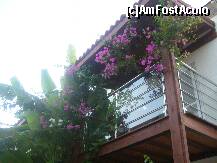 [P19] BALCON CAMERA DELUX » foto by octavianus
 - 
<span class="allrVoted glyphicon glyphicon-heart hidden" id="av199120"></span>
<a class="m-l-10 hidden" id="sv199120" onclick="voting_Foto_DelVot(,199120,8879)" role="button">șterge vot <span class="glyphicon glyphicon-remove"></span></a>
<a id="v9199120" class=" c-red"  onclick="voting_Foto_SetVot(199120)" role="button"><span class="glyphicon glyphicon-heart-empty"></span> <b>LIKE</b> = Votează poza</a> <img class="hidden"  id="f199120W9" src="/imagini/loader.gif" border="0" /><span class="AjErrMes hidden" id="e199120ErM"></span>