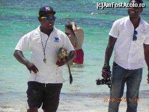 [P22] Fotografii hotelului cu maimuta la 10 USD poza » foto by roloback
 - 
<span class="allrVoted glyphicon glyphicon-heart hidden" id="av644617"></span>
<a class="m-l-10 hidden" id="sv644617" onclick="voting_Foto_DelVot(,644617,9056)" role="button">șterge vot <span class="glyphicon glyphicon-remove"></span></a>
<a id="v9644617" class=" c-red"  onclick="voting_Foto_SetVot(644617)" role="button"><span class="glyphicon glyphicon-heart-empty"></span> <b>LIKE</b> = Votează poza</a> <img class="hidden"  id="f644617W9" src="/imagini/loader.gif" border="0" /><span class="AjErrMes hidden" id="e644617ErM"></span>