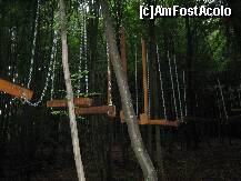 [P14] Podul suspendat-o incercare uneori de netrecut pentru mari si mici » foto by immitis
 - 
<span class="allrVoted glyphicon glyphicon-heart hidden" id="av209872"></span>
<a class="m-l-10 hidden" id="sv209872" onclick="voting_Foto_DelVot(,209872,9108)" role="button">șterge vot <span class="glyphicon glyphicon-remove"></span></a>
<a id="v9209872" class=" c-red"  onclick="voting_Foto_SetVot(209872)" role="button"><span class="glyphicon glyphicon-heart-empty"></span> <b>LIKE</b> = Votează poza</a> <img class="hidden"  id="f209872W9" src="/imagini/loader.gif" border="0" /><span class="AjErrMes hidden" id="e209872ErM"></span>