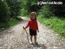 [P15] Micuta montagnarda,pe cararea spre Cheile Butii » foto by immitis
 - 
<span class="allrVoted glyphicon glyphicon-heart hidden" id="av209873"></span>
<a class="m-l-10 hidden" id="sv209873" onclick="voting_Foto_DelVot(,209873,9108)" role="button">șterge vot <span class="glyphicon glyphicon-remove"></span></a>
<a id="v9209873" class=" c-red"  onclick="voting_Foto_SetVot(209873)" role="button"><span class="glyphicon glyphicon-heart-empty"></span> <b>LIKE</b> = Votează poza</a> <img class="hidden"  id="f209873W9" src="/imagini/loader.gif" border="0" /><span class="AjErrMes hidden" id="e209873ErM"></span>