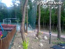 [P03]  -- <small>// FĂRĂ DESCRIERE</small> » foto by natypatras*
 - 
<span class="allrVoted glyphicon glyphicon-heart hidden" id="av234881"></span>
<a class="m-l-10 hidden" id="sv234881" onclick="voting_Foto_DelVot(,234881,9135)" role="button">șterge vot <span class="glyphicon glyphicon-remove"></span></a>
<a id="v9234881" class=" c-red"  onclick="voting_Foto_SetVot(234881)" role="button"><span class="glyphicon glyphicon-heart-empty"></span> <b>LIKE</b> = Votează poza</a> <img class="hidden"  id="f234881W9" src="/imagini/loader.gif" border="0" /><span class="AjErrMes hidden" id="e234881ErM"></span>