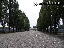 [P40] Memorialul de la Dachau - Aleea cu plopi care despartea cele doua siruri de baraci » foto by RoF*
 - 
<span class="allrVoted glyphicon glyphicon-heart hidden" id="av377958"></span>
<a class="m-l-10 hidden" id="sv377958" onclick="voting_Foto_DelVot(,377958,9209)" role="button">șterge vot <span class="glyphicon glyphicon-remove"></span></a>
<a id="v9377958" class=" c-red"  onclick="voting_Foto_SetVot(377958)" role="button"><span class="glyphicon glyphicon-heart-empty"></span> <b>LIKE</b> = Votează poza</a> <img class="hidden"  id="f377958W9" src="/imagini/loader.gif" border="0" /><span class="AjErrMes hidden" id="e377958ErM"></span>