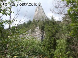 [P28] Piatra Altarului este un loc frecventat de către cei care îndrăgesc alpinismul.  » foto by Floryn81
 - 
<span class="allrVoted glyphicon glyphicon-heart hidden" id="av737998"></span>
<a class="m-l-10 hidden" id="sv737998" onclick="voting_Foto_DelVot(,737998,9349)" role="button">șterge vot <span class="glyphicon glyphicon-remove"></span></a>
<a id="v9737998" class=" c-red"  onclick="voting_Foto_SetVot(737998)" role="button"><span class="glyphicon glyphicon-heart-empty"></span> <b>LIKE</b> = Votează poza</a> <img class="hidden"  id="f737998W9" src="/imagini/loader.gif" border="0" /><span class="AjErrMes hidden" id="e737998ErM"></span>