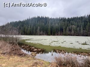 [P14] Lacul Roșu,martie 2025 » foto by AZE
 - 
<span class="allrVoted glyphicon glyphicon-heart hidden" id="av1494694"></span>
<a class="m-l-10 hidden" id="sv1494694" onclick="voting_Foto_DelVot(,1494694,9349)" role="button">șterge vot <span class="glyphicon glyphicon-remove"></span></a>
<a id="v91494694" class=" c-red"  onclick="voting_Foto_SetVot(1494694)" role="button"><span class="glyphicon glyphicon-heart-empty"></span> <b>LIKE</b> = Votează poza</a> <img class="hidden"  id="f1494694W9" src="/imagini/loader.gif" border="0" /><span class="AjErrMes hidden" id="e1494694ErM"></span>