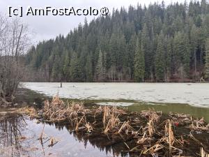 [P15] Lacul Roșu,martie 2025 » foto by AZE
 - 
<span class="allrVoted glyphicon glyphicon-heart hidden" id="av1494695"></span>
<a class="m-l-10 hidden" id="sv1494695" onclick="voting_Foto_DelVot(,1494695,9349)" role="button">șterge vot <span class="glyphicon glyphicon-remove"></span></a>
<a id="v91494695" class=" c-red"  onclick="voting_Foto_SetVot(1494695)" role="button"><span class="glyphicon glyphicon-heart-empty"></span> <b>LIKE</b> = Votează poza</a> <img class="hidden"  id="f1494695W9" src="/imagini/loader.gif" border="0" /><span class="AjErrMes hidden" id="e1494695ErM"></span>