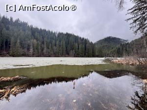 [P16] Lacul Roșu,martie 2025 » foto by AZE
 - 
<span class="allrVoted glyphicon glyphicon-heart hidden" id="av1494696"></span>
<a class="m-l-10 hidden" id="sv1494696" onclick="voting_Foto_DelVot(,1494696,9349)" role="button">șterge vot <span class="glyphicon glyphicon-remove"></span></a>
<a id="v91494696" class=" c-red"  onclick="voting_Foto_SetVot(1494696)" role="button"><span class="glyphicon glyphicon-heart-empty"></span> <b>LIKE</b> = Votează poza</a> <img class="hidden"  id="f1494696W9" src="/imagini/loader.gif" border="0" /><span class="AjErrMes hidden" id="e1494696ErM"></span>