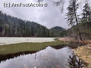 [P17] Lacul Roșu,martie 2025 » foto by AZE
 - 
<span class="allrVoted glyphicon glyphicon-heart hidden" id="av1494697"></span>
<a class="m-l-10 hidden" id="sv1494697" onclick="voting_Foto_DelVot(,1494697,9349)" role="button">șterge vot <span class="glyphicon glyphicon-remove"></span></a>
<a id="v91494697" class=" c-red"  onclick="voting_Foto_SetVot(1494697)" role="button"><span class="glyphicon glyphicon-heart-empty"></span> <b>LIKE</b> = Votează poza</a> <img class="hidden"  id="f1494697W9" src="/imagini/loader.gif" border="0" /><span class="AjErrMes hidden" id="e1494697ErM"></span>