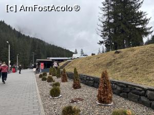 [P21] Amenajări lângă lac » foto by AZE
 - 
<span class="allrVoted glyphicon glyphicon-heart hidden" id="av1494701"></span>
<a class="m-l-10 hidden" id="sv1494701" onclick="voting_Foto_DelVot(,1494701,9349)" role="button">șterge vot <span class="glyphicon glyphicon-remove"></span></a>
<a id="v91494701" class=" c-red"  onclick="voting_Foto_SetVot(1494701)" role="button"><span class="glyphicon glyphicon-heart-empty"></span> <b>LIKE</b> = Votează poza</a> <img class="hidden"  id="f1494701W9" src="/imagini/loader.gif" border="0" /><span class="AjErrMes hidden" id="e1494701ErM"></span>