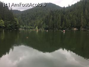 [P06] Lacul Roșu » foto by Yersinia Pestis
 - 
<span class="allrVoted glyphicon glyphicon-heart hidden" id="av1439363"></span>
<a class="m-l-10 hidden" id="sv1439363" onclick="voting_Foto_DelVot(,1439363,9349)" role="button">șterge vot <span class="glyphicon glyphicon-remove"></span></a>
<a id="v91439363" class=" c-red"  onclick="voting_Foto_SetVot(1439363)" role="button"><span class="glyphicon glyphicon-heart-empty"></span> <b>LIKE</b> = Votează poza</a> <img class="hidden"  id="f1439363W9" src="/imagini/loader.gif" border="0" /><span class="AjErrMes hidden" id="e1439363ErM"></span>